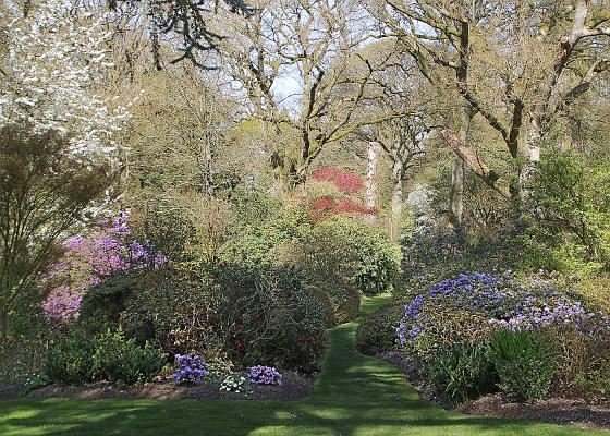 Ramster Gardens (3)